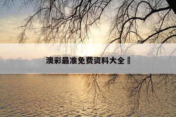 澳彩最准免费资料大全	