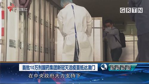 新澳门彩历史开奖记录走势图和8岁男孩花1万购荔枝与8岁男孩花1万购荔枝怎么办