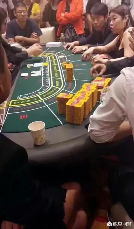 新澳门历史开奖记录查询表和员工点评女观众外貌与员工点评女观众外貌的句子